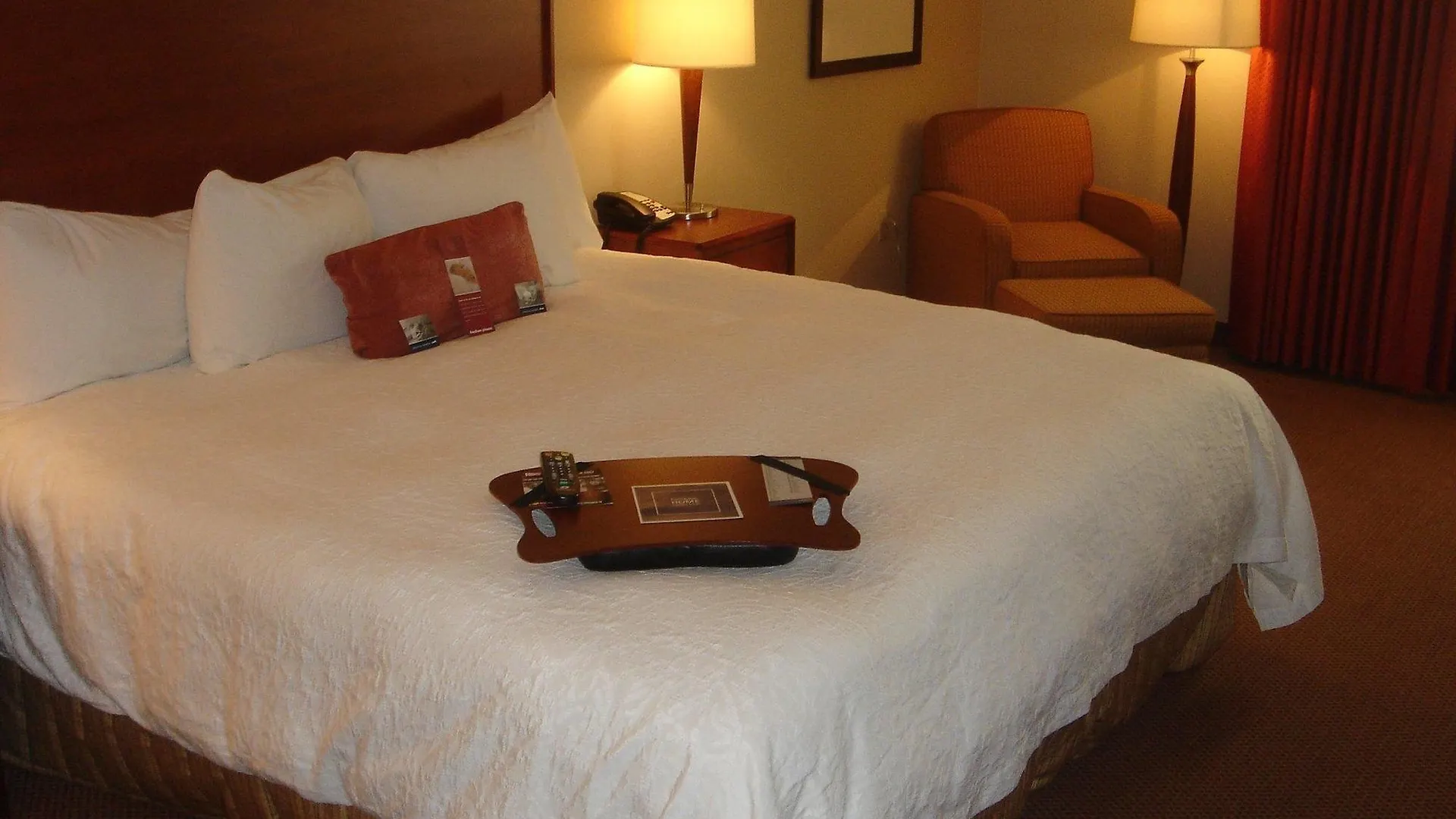 Hampton Inn & Suites Denver-Downtown Hotel