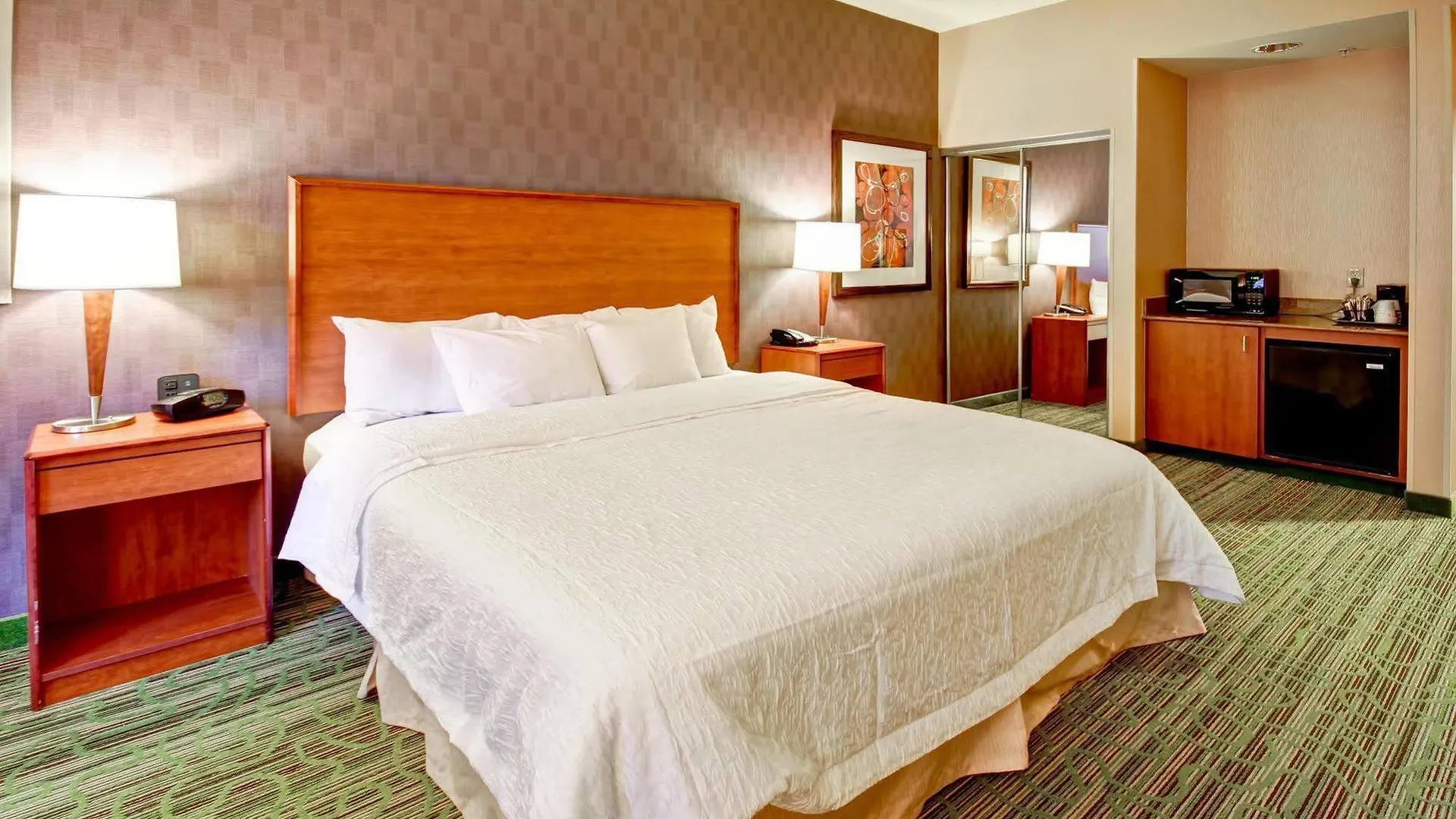 *** Hotel Hampton Inn & Suites Denver-Downtown United States