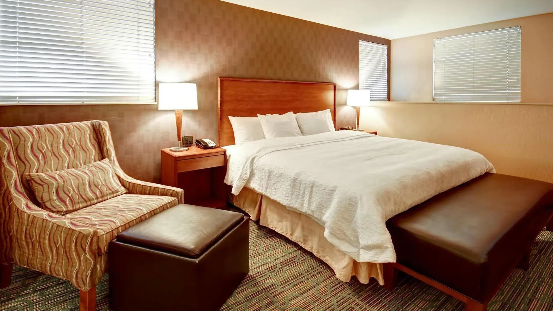 Hampton Inn & Suites Denver-Downtown Hotel