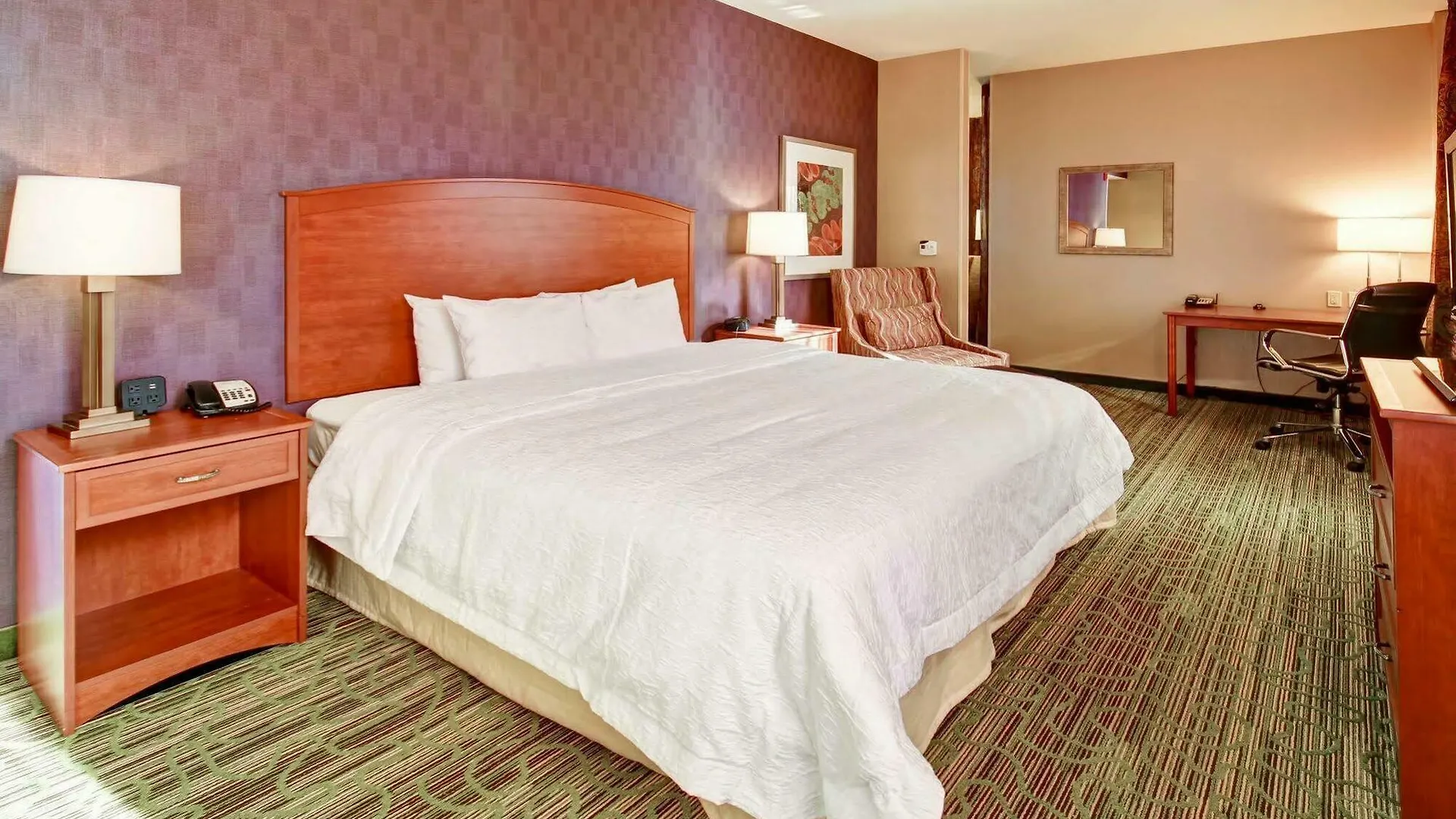 Hotel Hampton Inn & Suites Denver-Downtown